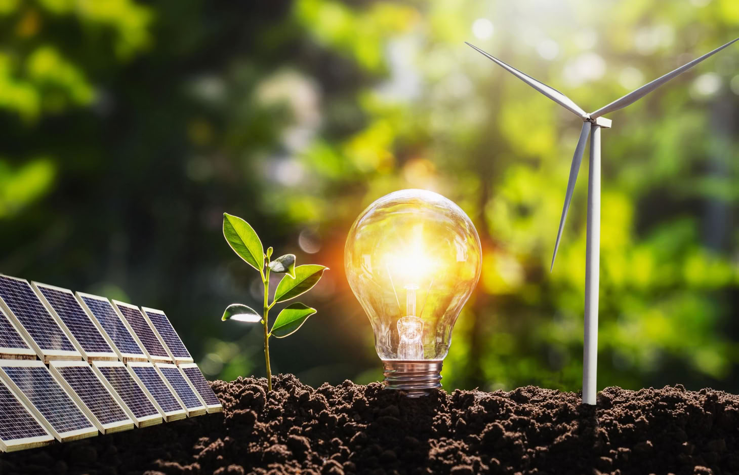 Solar panels, a small plant, a glowing light bulb, and a wind turbine on soil, symbolizing renewable energy.